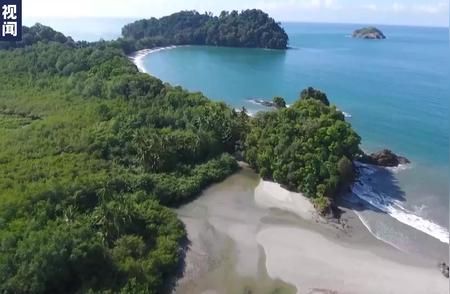 哥斯达黎加生物保护区：珊瑚白化与海水温度升高引发的生态危机