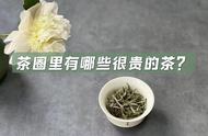 茶界名贵品种盘点：绿茶、白茶、岩茶、红茶一网打尽