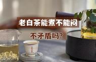 揭秘老白茶煮而不闷的三大原因，看完不再犯错！