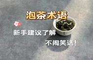 新手茶艺入门：掌握这5个常识性术语，避免尴尬